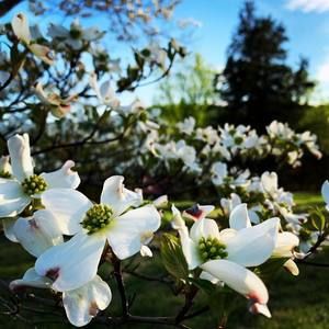 Meet your Posher, Kathleen